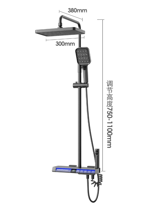 Sistema de ducha "REGAL DIGITAL DISPLAY", gris VN-LY019